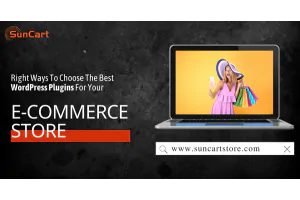 How To Choose The Best WordPress E-Commerce Plugin For Your Store?