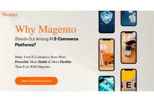 Why does Magento stand out among all E-Commerce platforms?