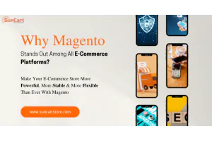 Why does Magento stand out among all E-Commerce platforms?
