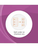Split Order On Checkout Pro for ODOO